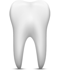 tooth tooth